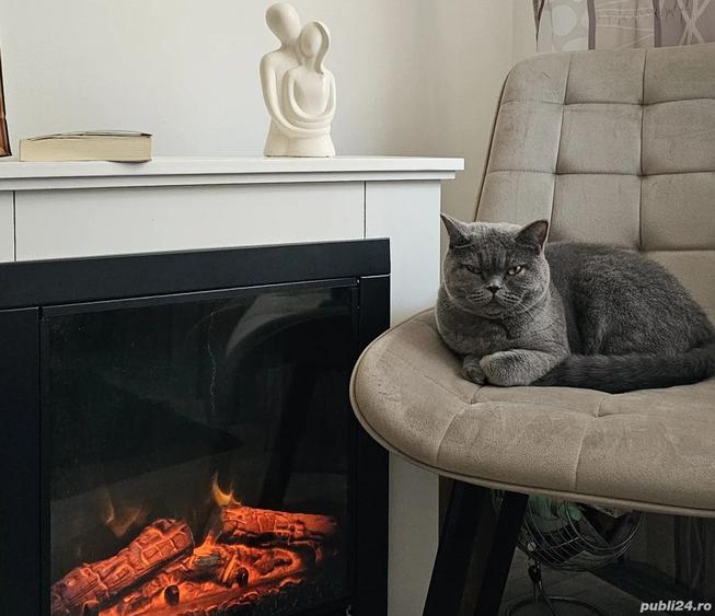 Vand apartament 3 camere Decebal - 2