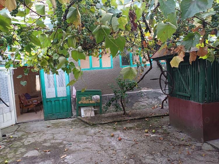 Vand casa - 2