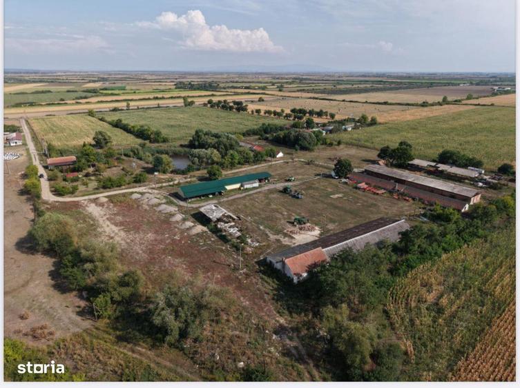 Spatiu multifunctional Salonta - 7