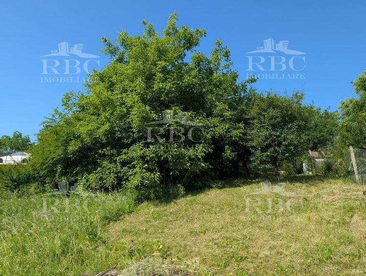 Teren intravilan 4600 mp cu front de 25 m pe strada Odobesti - 6