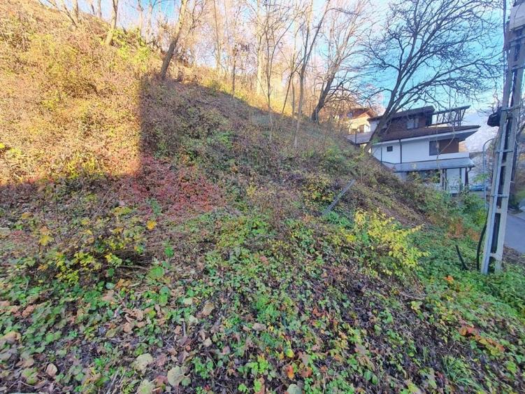 ZONA DEOSEBITA CU MULTA VERDEATA - 7