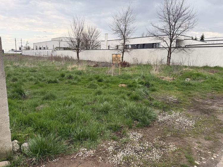 Teren de vanzare Laguna Verde/Balotesti-Caciulati - 7