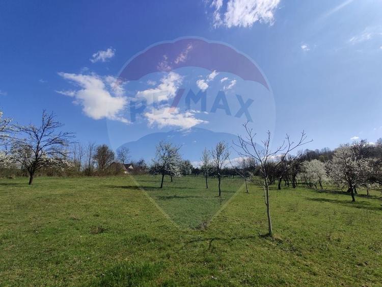 Pret redus!!! Teren deosebit de vanzare Carbunari - 4