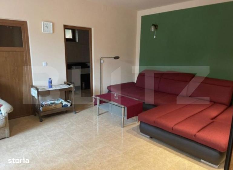 Pensiune deosebita in inima Muntilor Dacici investitie premium in - 3