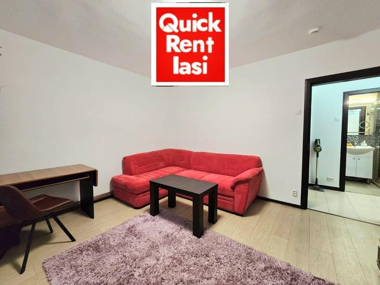 Ultracentral Moldova Center(Palat) Apartament 2Camere Decomandat De Inchiriat - 6