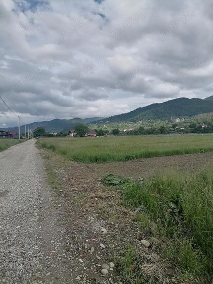 Teren 3000 mp intravilan Viisoara - 1