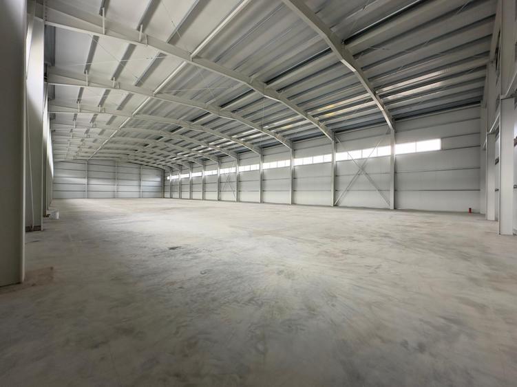 Hala productie, depozitare, showroom, 600-1746mp, Parc Miroslava - 5