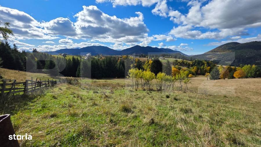 Teren 1,5 hectare - la Piatra Fantanele - 5