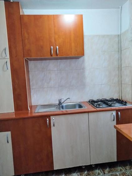 Proprietar vand garsoniera studio A.I. Electromagnetica, Liberty Mall Rahova, Sebastian, - 10