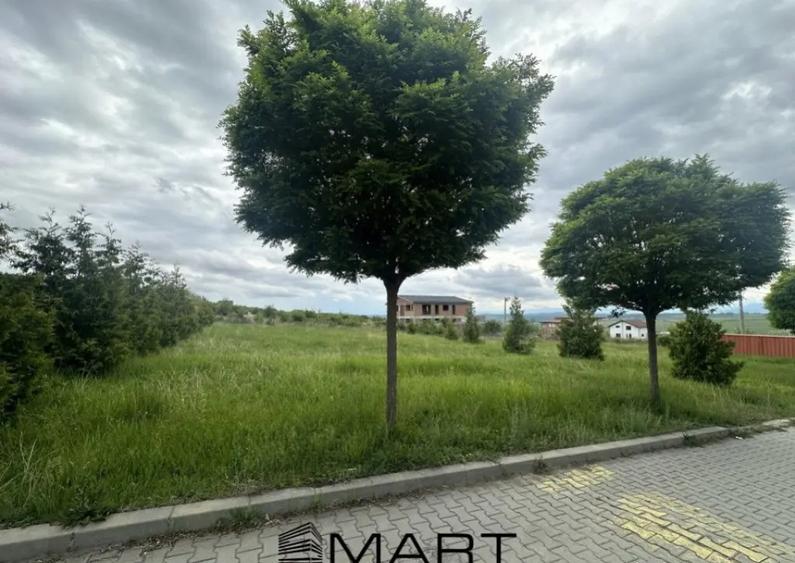 Teren intravilan 633mp cu utilitati si PUZ in Cartier Bavari - 2