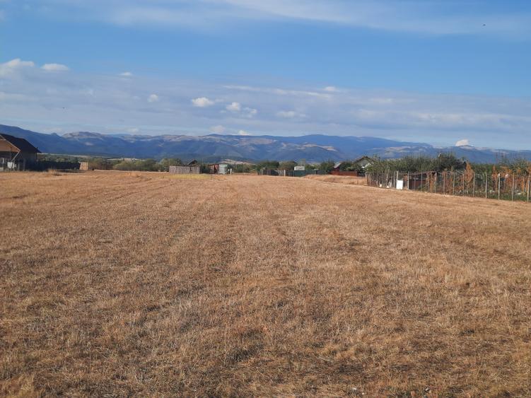 Teren agricol extravilan de 1500 mp, în Șelimbăr