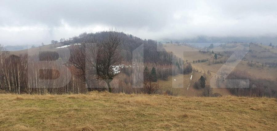 Teren Construcții intravilan de 9648 mp, în Est