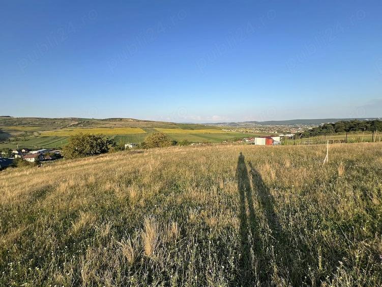 Vanzare doua terenuri 600 mp cu acte in regula Santana de Mure? (zona Unirii - Barde?ti) - 7