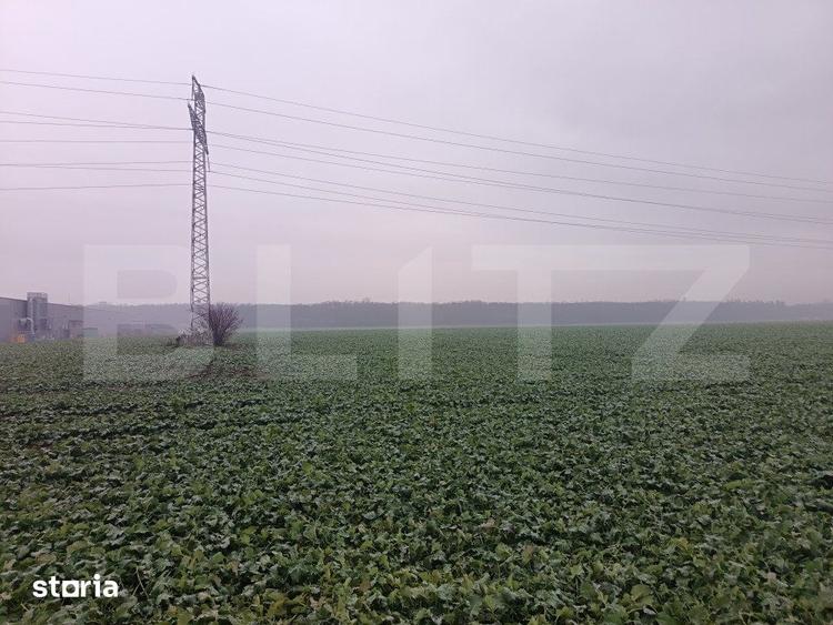 Teren de 15000 mp, în Păulești