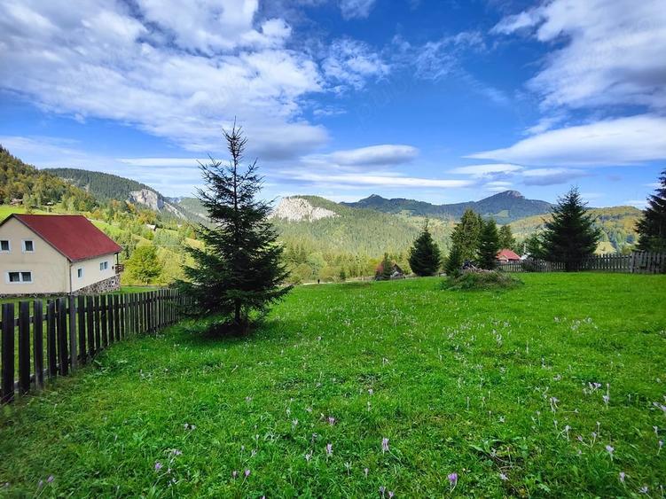 Teren de 2050 mp, în Bicaz-Chei