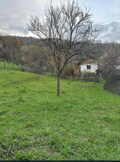 Teren de 3608 mp, în Șuta