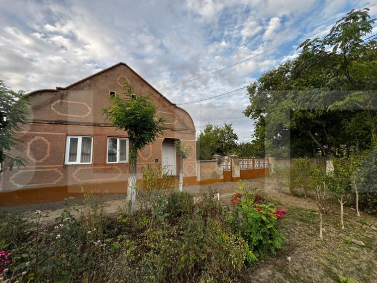 Casa 4 camere cu teren de 3892 mp - 1