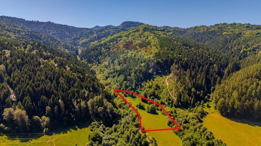 COMISION 0% Teren Bradet 7300 + 6000 mp/ Sacele /Intravilan - 4