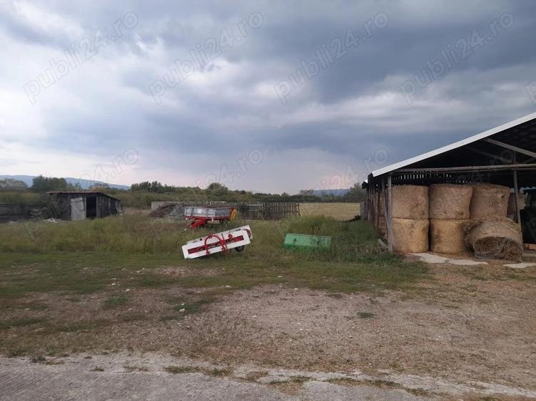 Ferma de inchiriat teren 21.000 mp, utilita?i complete pt activitate agricola si sau logistica - 10