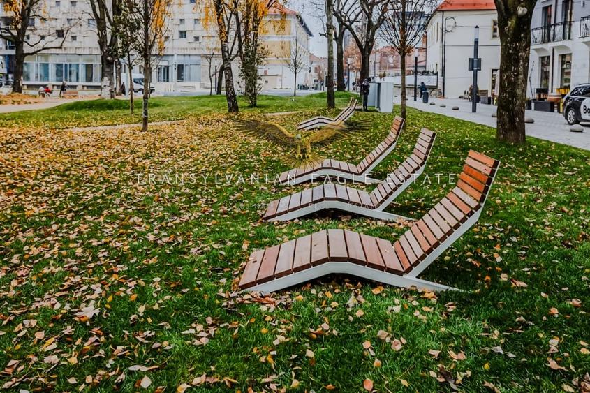 Locuinta situata in zona centrala din Piata Muzeului - 14