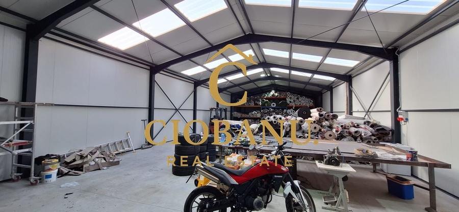 Hala de vanzare in Racari de Jos - 10