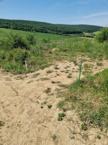 REPREZENATRE EXCLUSIVĂ! Teren intravilan construcții, zonă superbă, Livezeni. - 5