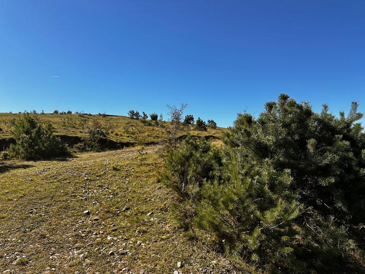 0% Comision- Teren cu constructie, langa padure-600 mp, Purcareni - 6