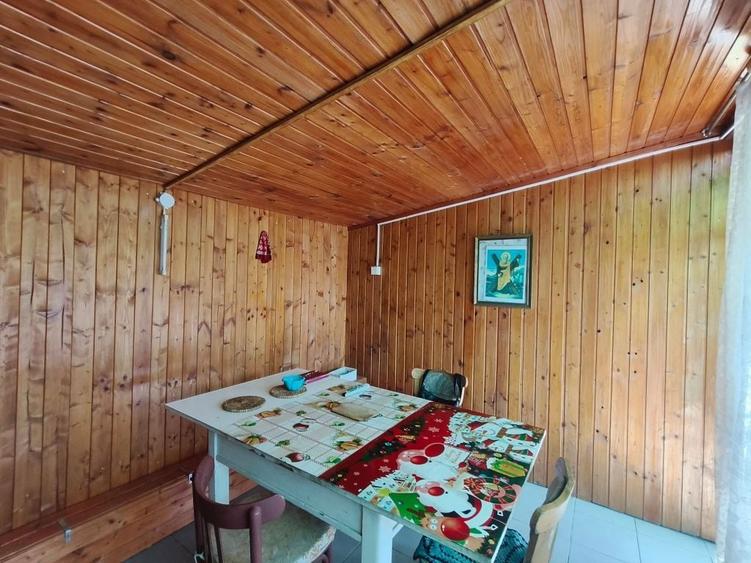 Casa cu gradina roditoare si teren 3000 m2 de vanzare Sacadate, Sibiu / House with Garden and 3000 m2 Land for Sale Sacadate, Sibiu - 6