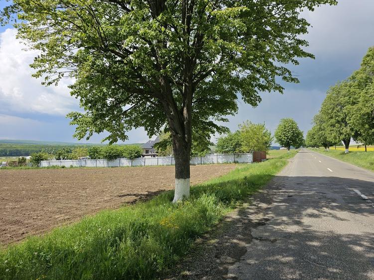 Vand 55,5 ari teren in Mitocu Dragomirnei - 3