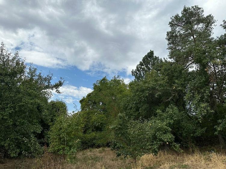 Stefanesti-sat Viișoara, Argeș, teren intravilan racordat la toate utilitățile - 5