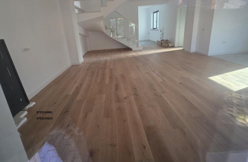 Bucurestii Noi Vila deosebita 2025 - 13