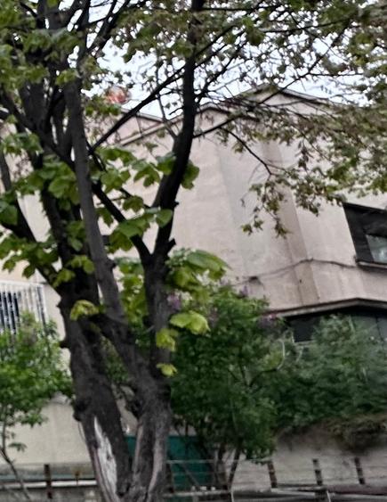 Parter in vila interbelica.Dorobanti - Capitale.Oferta reala! - 1