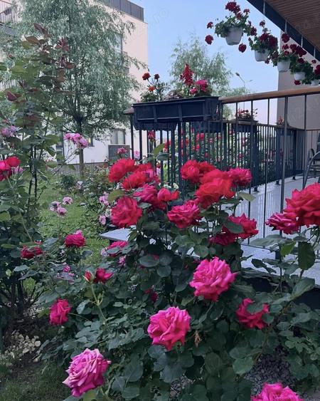 Apartament mobilat cu 2 camere 72mp in Unirii Green Park Residece - 8