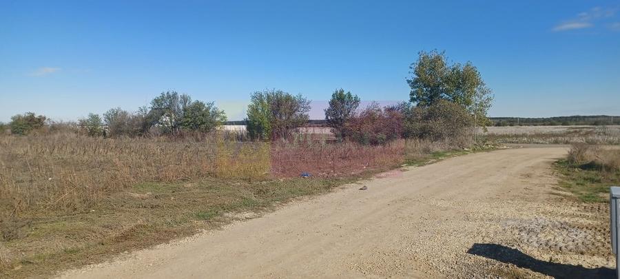 Sabareni, teren rezidential 6290 mp, cu 52m FS, utilitati in apropiere - 3