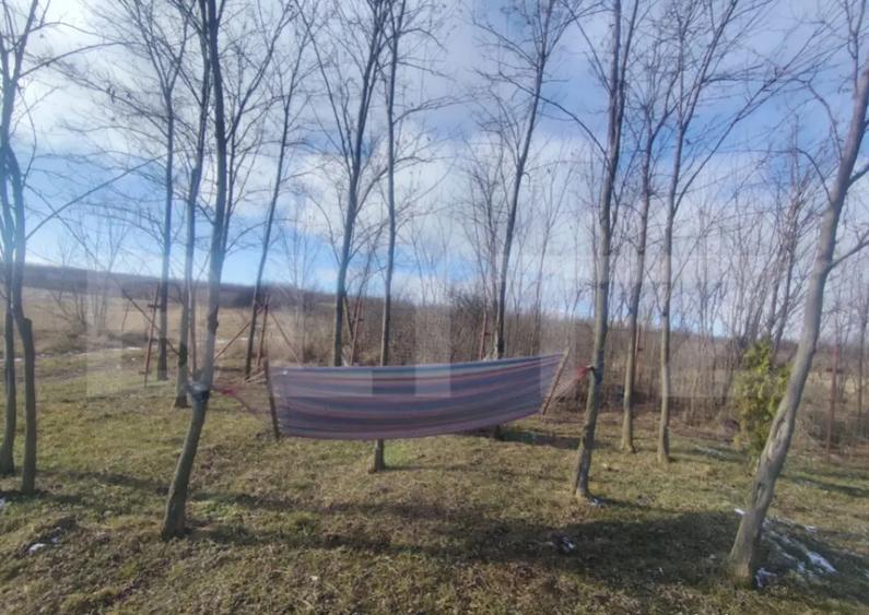 Teren intravilan cu cabana, 700mp, Ciurea - 1