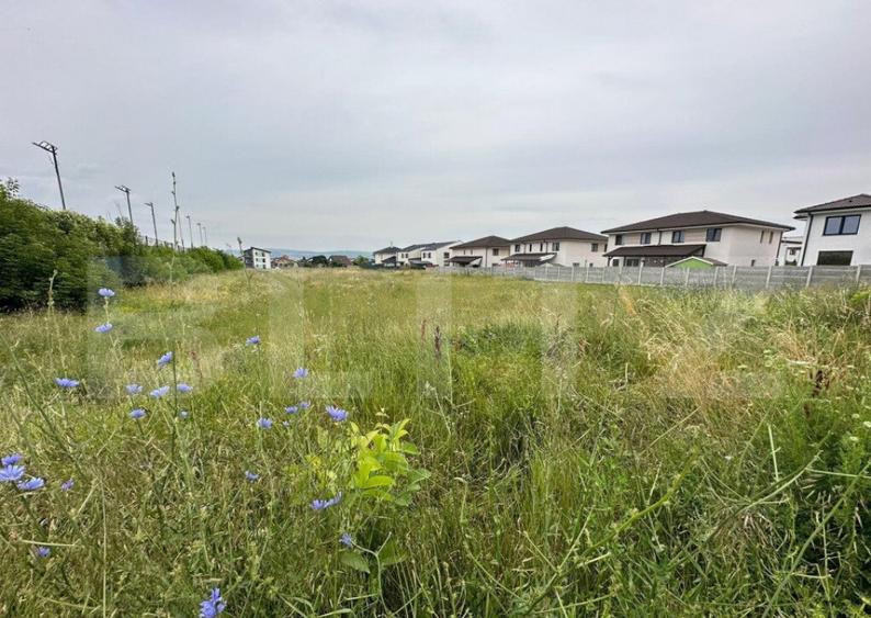 Teren intravilan, 7441mp, zona Lidl Cetate - 1