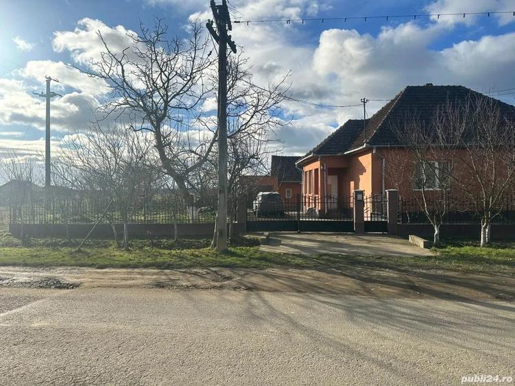 Casa bonus, teren contra cost, Micula Noua! - 5