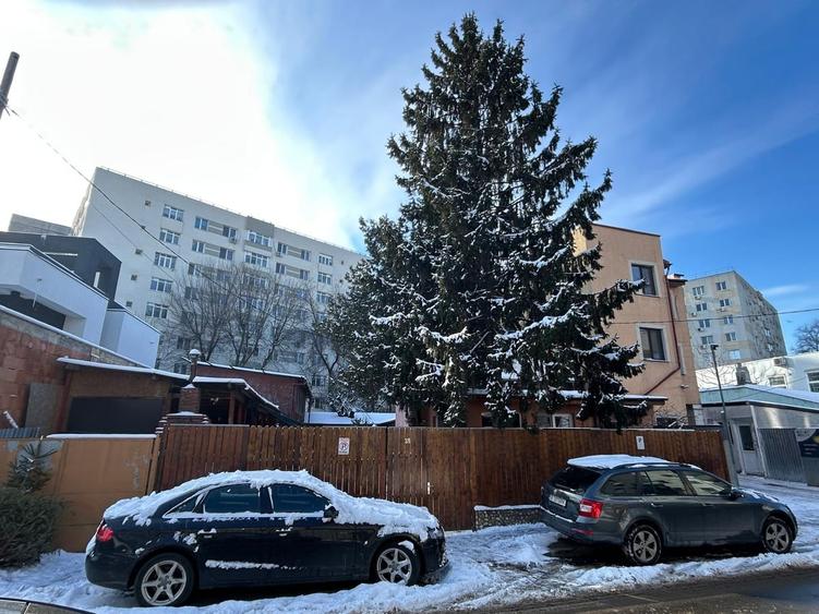 Baicului, Gara de Est, Pantelimon - 10