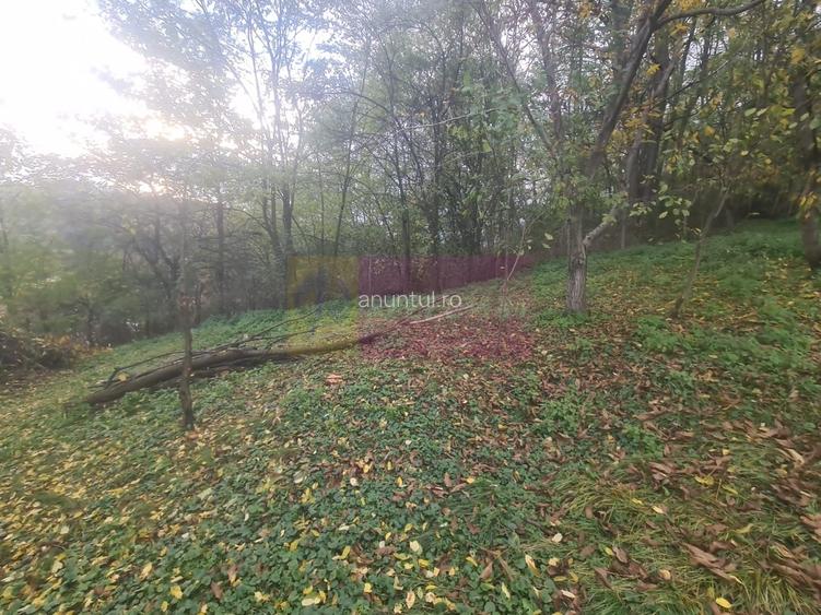 Casa batraneasca cu teren (4.910 mp) la Alunis