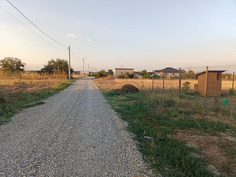 Terenuri intravilane Magurele Dumitrana - 3