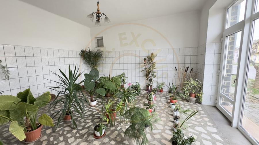 Casa 7 camere cu Teren 4.620 mp | Potential pentru rezidenta sau afacere | Carei - 18