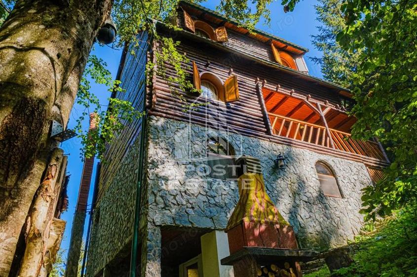 Pensiune, casa de vacanta, 6 camere, statiunea Rausor din Hunedoara - 2