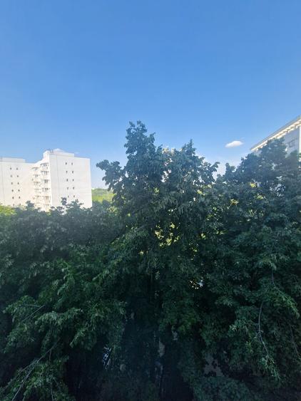 Baba Novac, Parc Ior, Mall Park Lake - 1