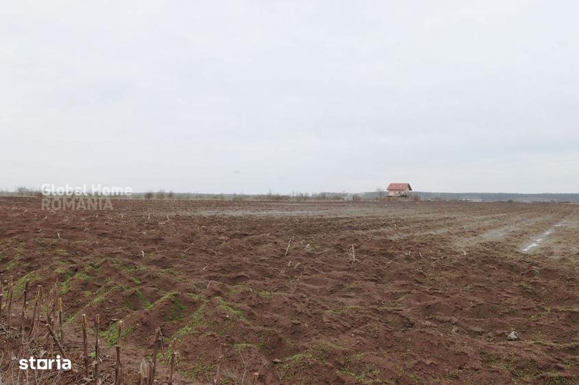 Teren 4000 mp langa Padurea Petresti | Investitie dezvoltare | Corbean - 5