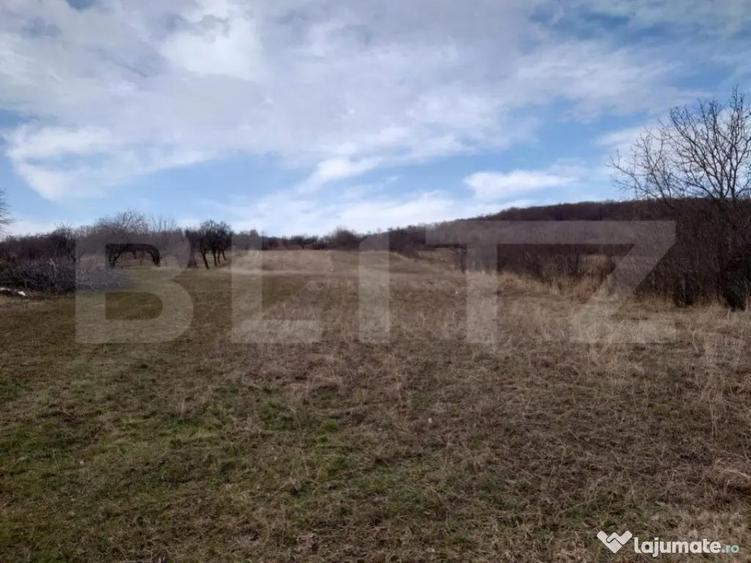 Teren intravilan 3712 mp + 2600 mp extravilan in Dobrovat - 5