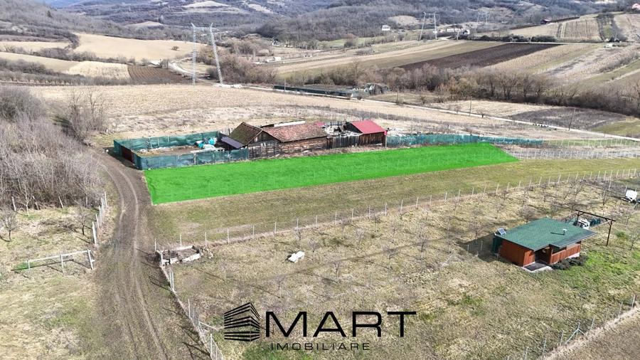 Teren intravilan 10.000mp strada Zadei Gusterita - 1