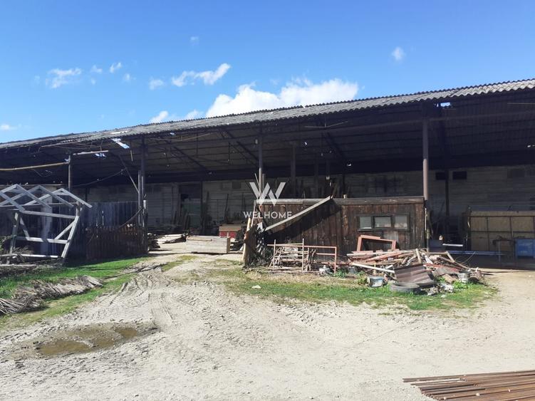 Spatiu industrial-baza depozitare cu cale ferata-Arpasu de Jos - Sibiu - 9