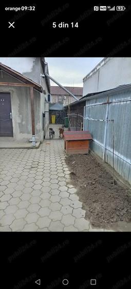 Casa de vanzare Sinicolau Mic - 2