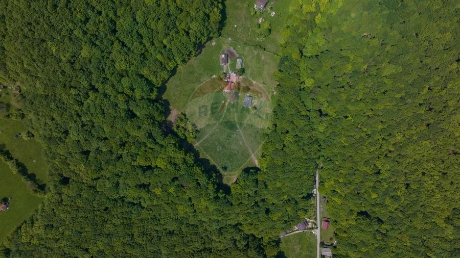 Teren de vanzare - Colonia 1 Mai, 5.310 mp, ideal pentru investitie - 5