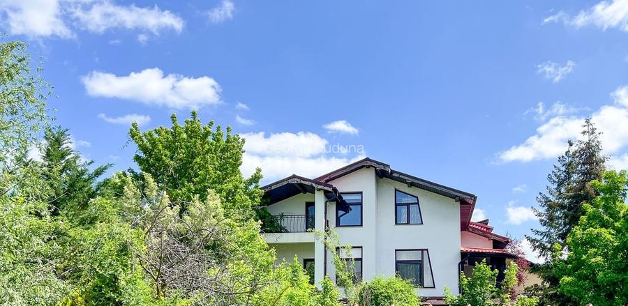 ? VILĂ DEOSEBITĂ CU POTENȚIAL EXCEPȚIONAL - IANCU NICOLAE, STRADĂ SELECTĂ!